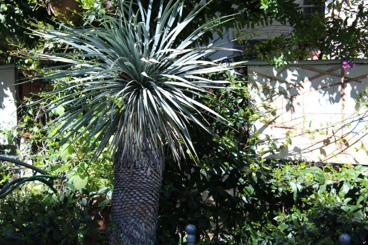 Bed & Breakfast Casa Anna Rita Vietri sul Mare Exterior photo